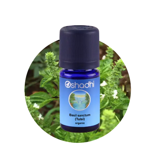 Tulsi Holy basil 5 ml