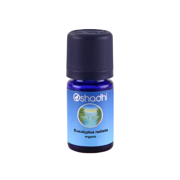 Eucalyptus radiata 10 ml