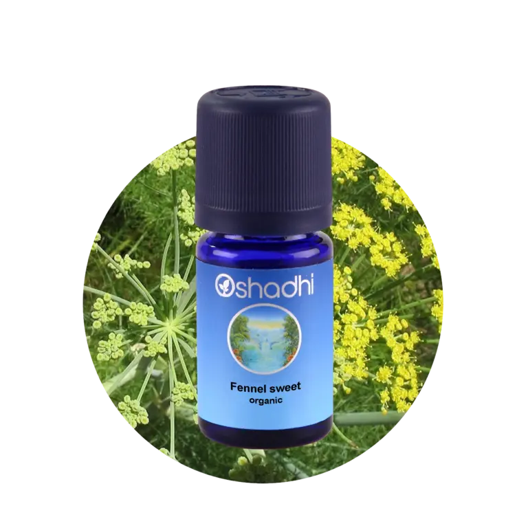 Fennikel, sweet 5 ml