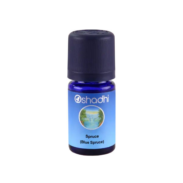 Black spruce 5 ml