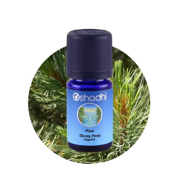 Norway pine, norsk fyrretræ, 5 ml
