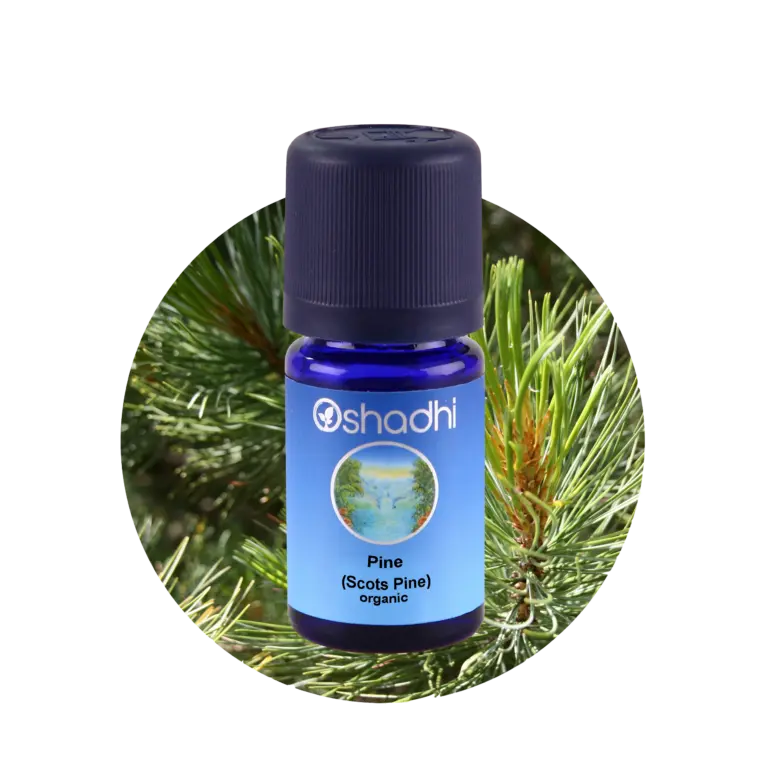 Norway pine, norsk fyrretræ, 5 ml