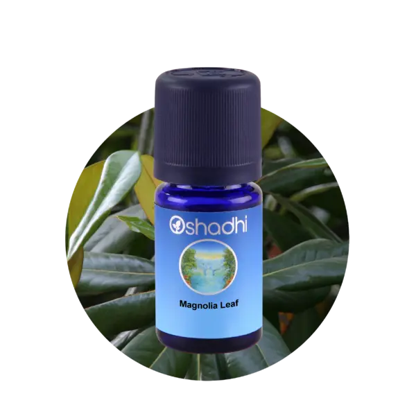 Magnolia leaf  5ml