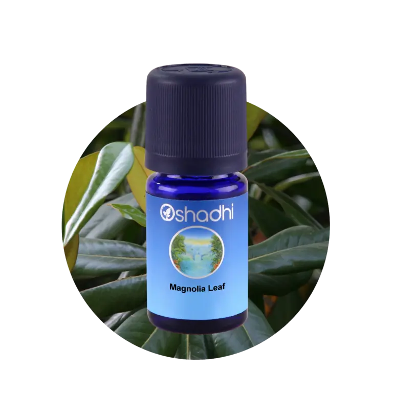 Magnolia leaf  5ml