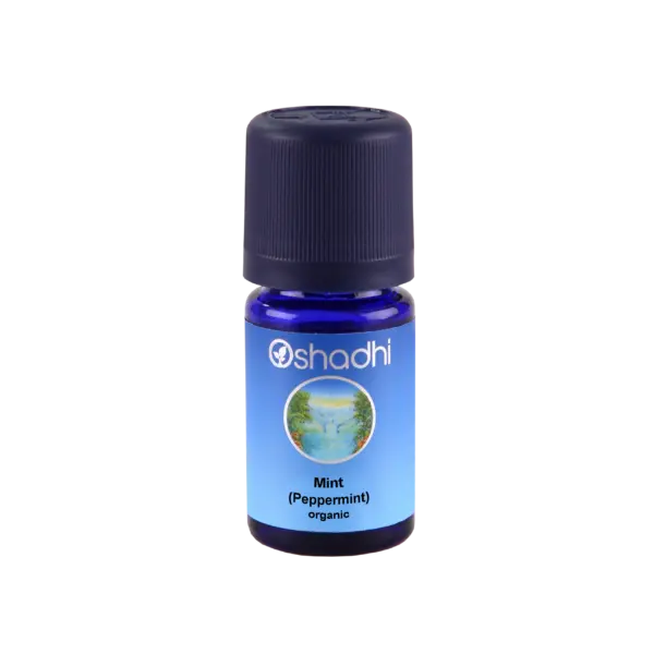 Pebermynte indisk, 10 ml