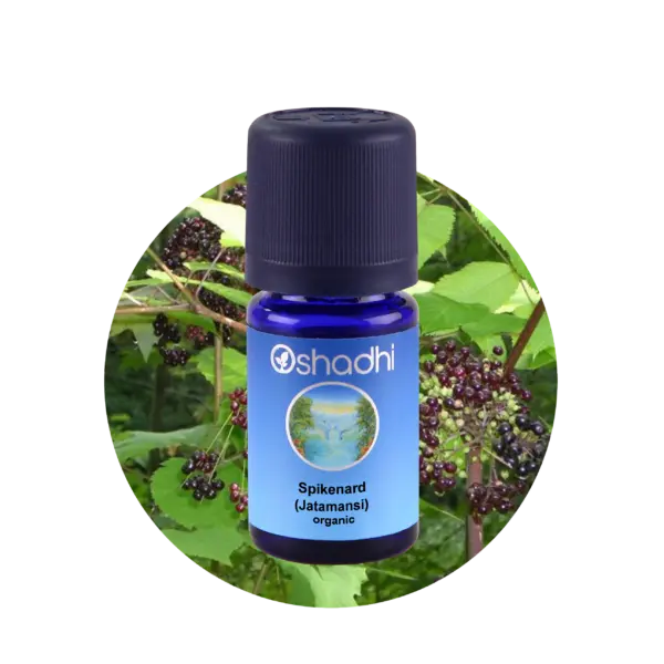 Spikenard 5 ml