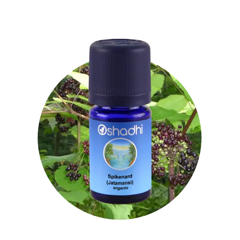 Spikenard 5 ml