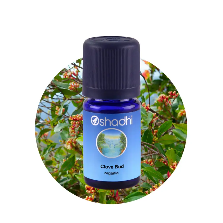 Nellike, Clove bud, 5 ml