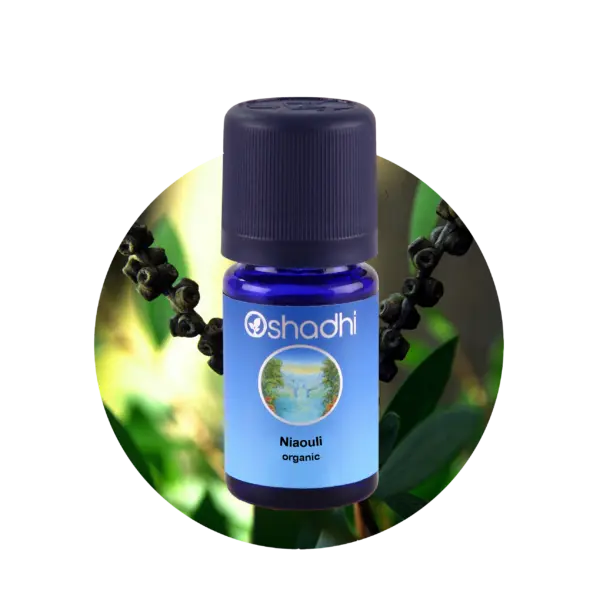 Niaouli, 10 ml
