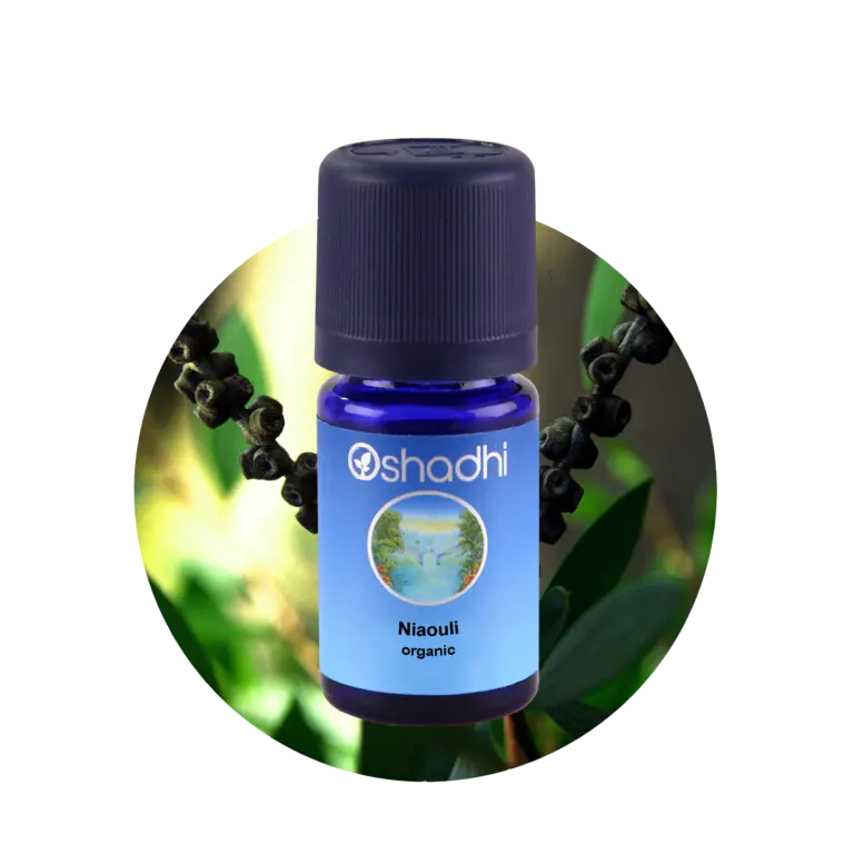Niaouli, 10 ml