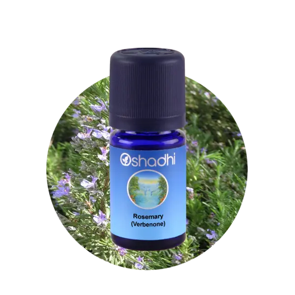 Rosemary verbenone, 5 ml
