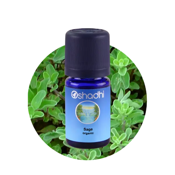 Salvie, sage, 10 ml
