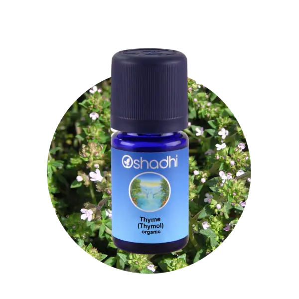 Thyme timian thymol, 5 ml