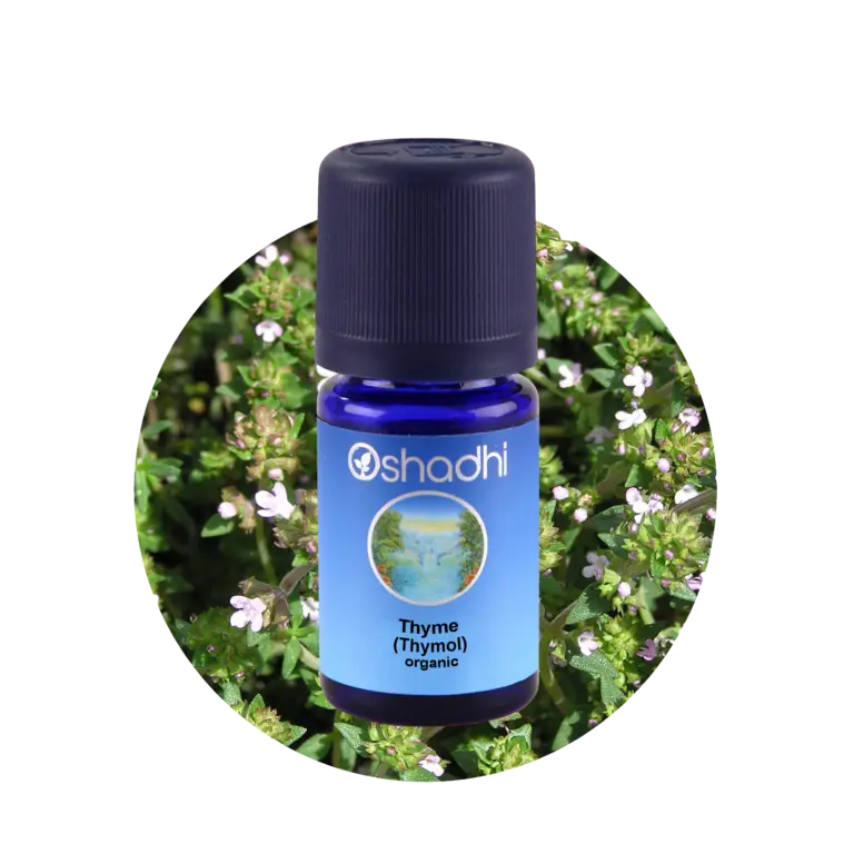 Thyme timian thymol, 5 ml
