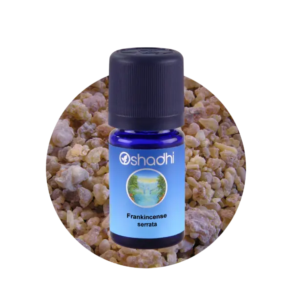 Frankincense serrata 10 ml, røgelsesolie