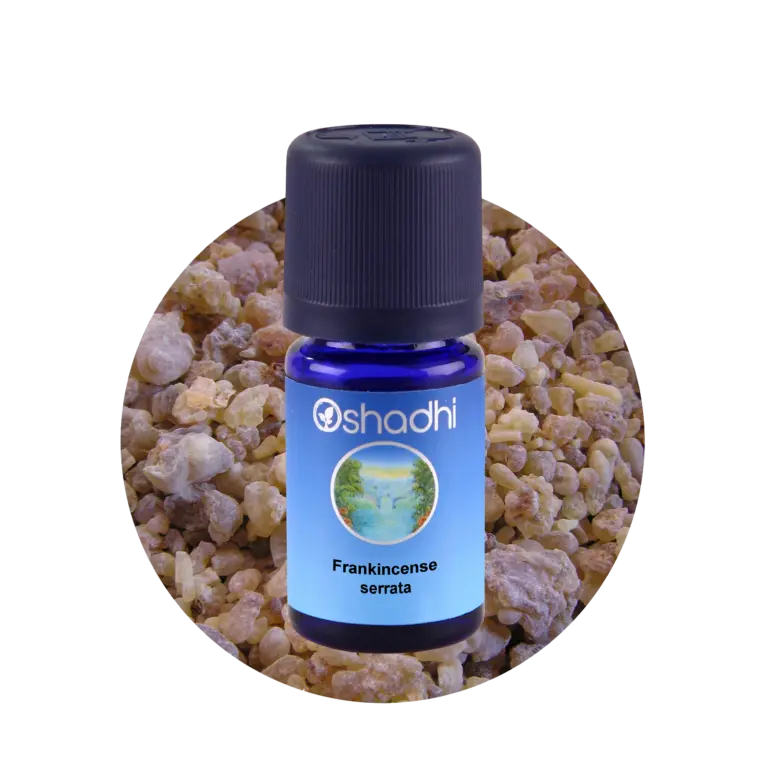 Frankincense serrata 10 ml, røgelsesolie