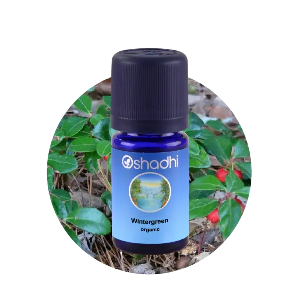 Wintergreen 10 ml