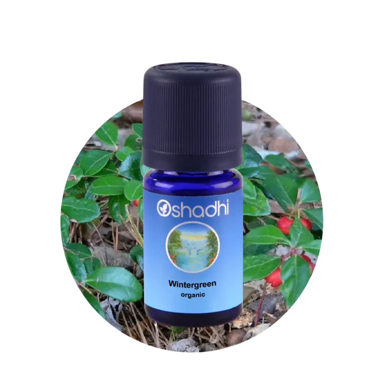 Wintergreen 10 ml