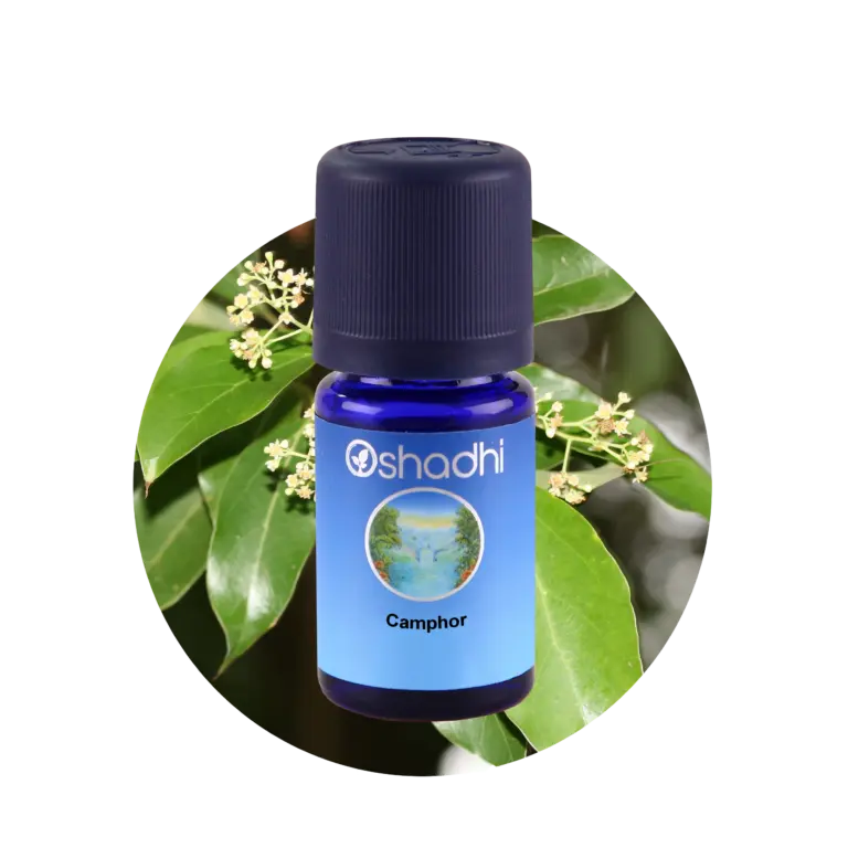 Camphor 10 ml