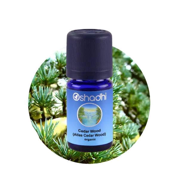 Cedar wood 10 ml