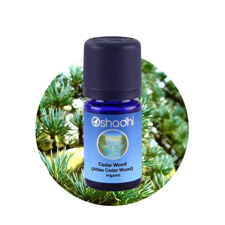 Cedar wood 10 ml